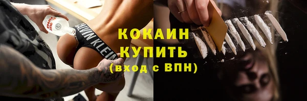 ешки Аркадак