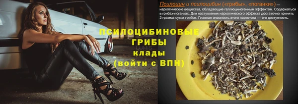 стафф Балахна